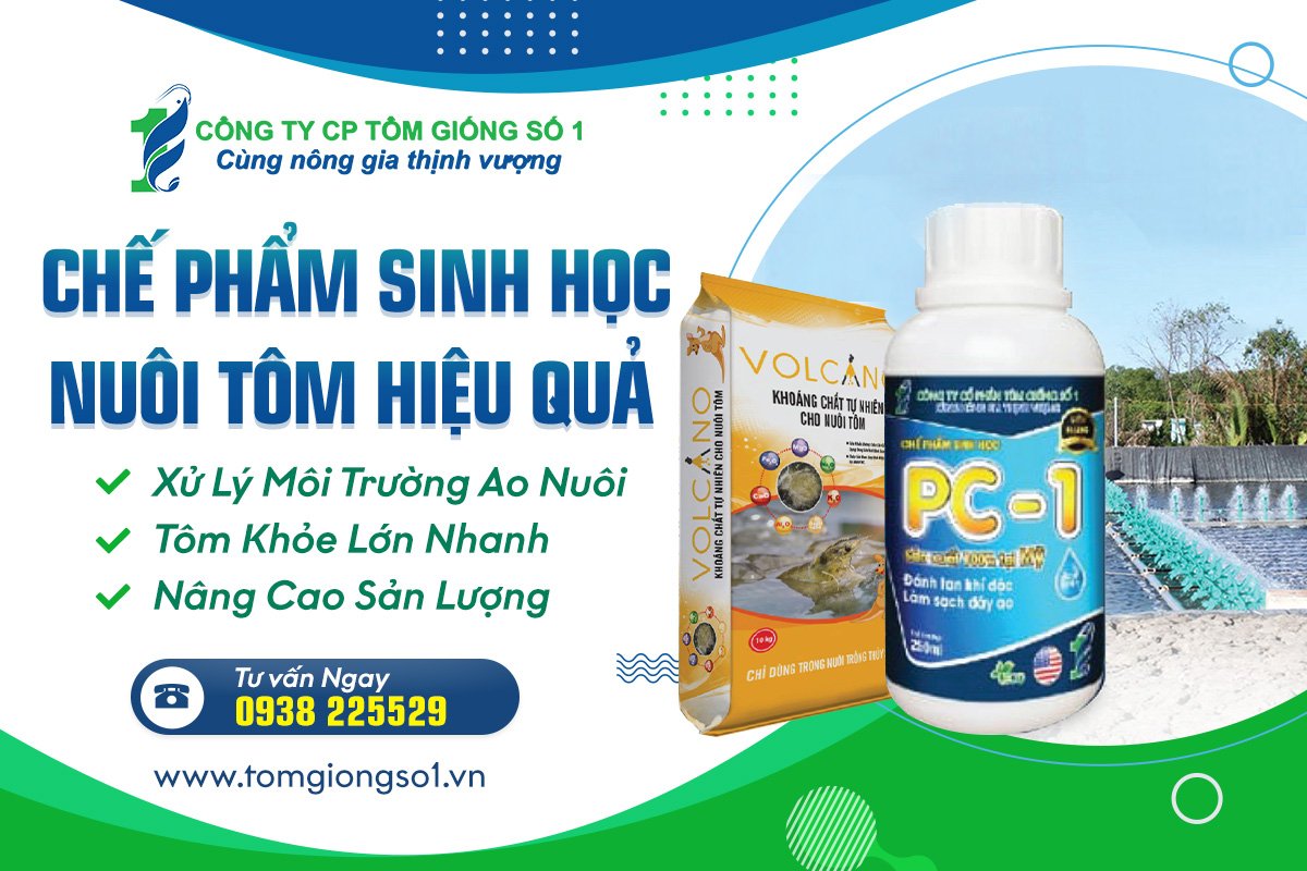 Chế Phẩm Sinh Học - Giúp Nuôi Tôm Hiệu Qủa 