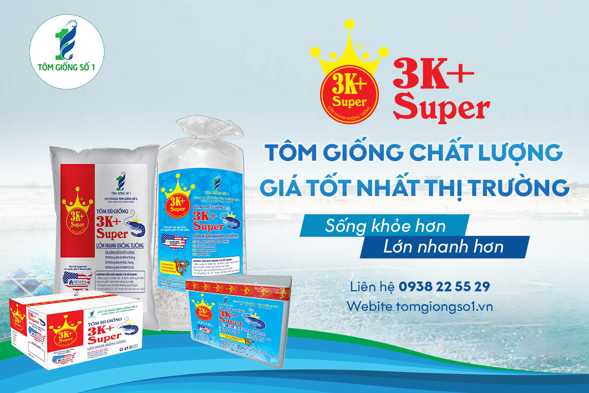 Tôm giống gia hóa - Tôm giống số 1