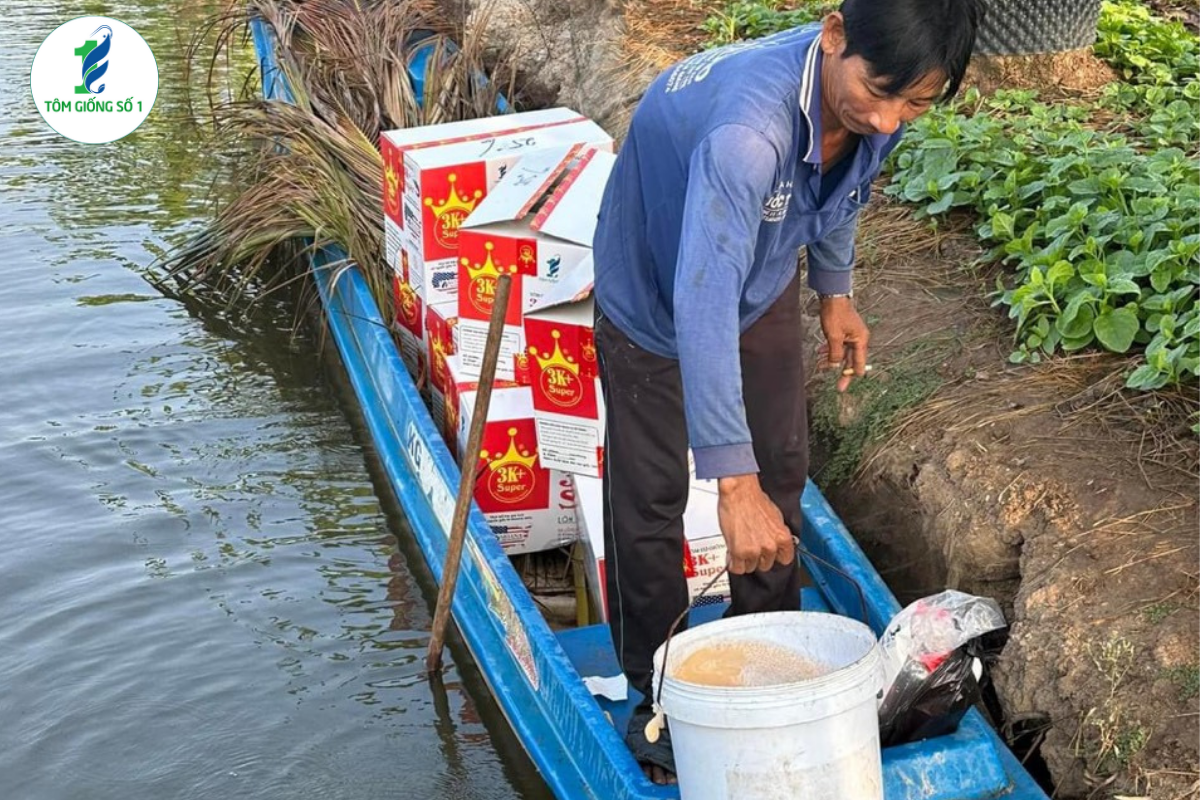 Nuôi tôm năng suất - Tôm giống số 1