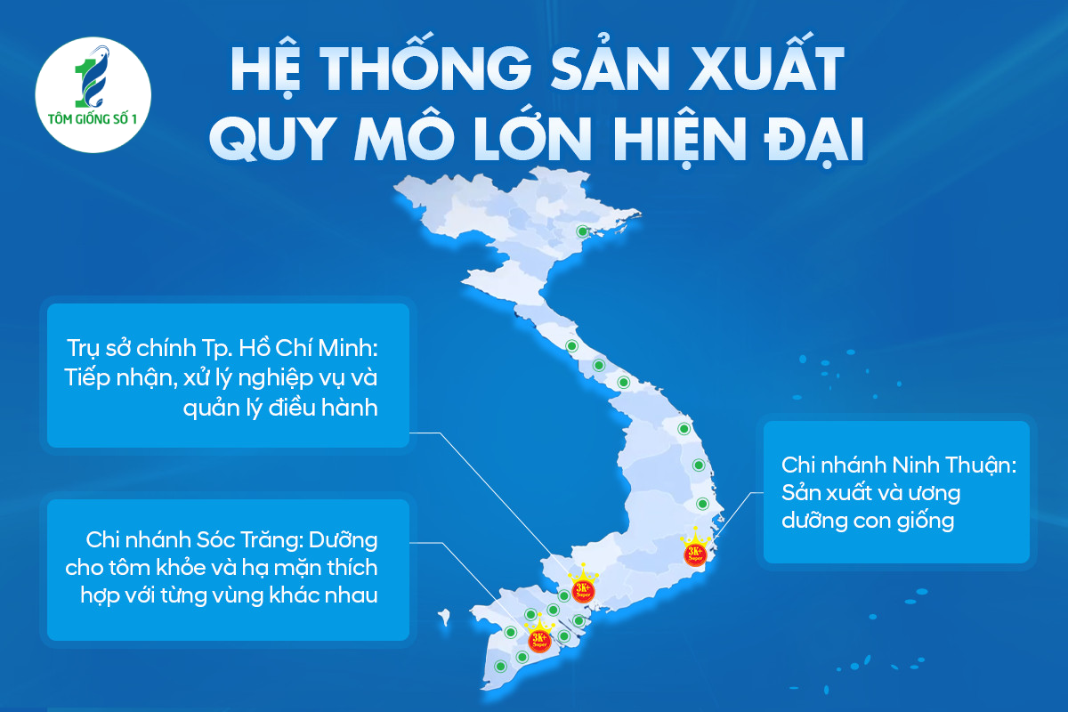 Tôm giống Ninh Thuận Uy tín | Giống tốt siêu lợi nhuận